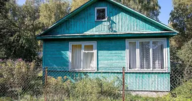 House in Krasnienski sielski Saviet, Belarus