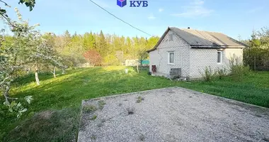 Дом в Лошанский сельский Совет, Беларусь