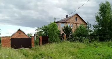 Cottage in Piatryskauski sielski Saviet, Belarus