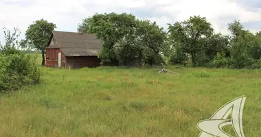 House in Znamienka, Belarus