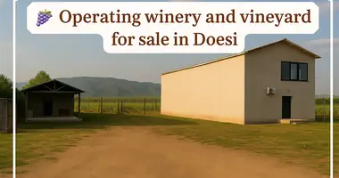🍇 For Sale – Operating Winery and Vineyard in Doesi, Georgia