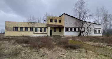 Produktion 536 m² in Liadski sielski Saviet, Weißrussland