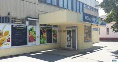 Gewerbefläche 200 m² in Debreceni jaras, Ungarn