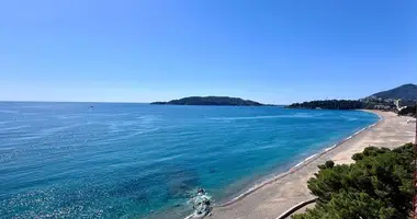 Wohnung 2 Schlafzimmer in Budva, Montenegro