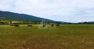 Parcela en Georgia