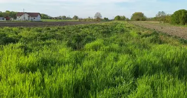 Plot of land in Rackeve, Hungary