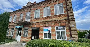 3 room apartment in Lazdijai, Lithuania