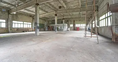 Warehouse 427 m² in Aziaryckaslabadski sielski Saviet, Belarus