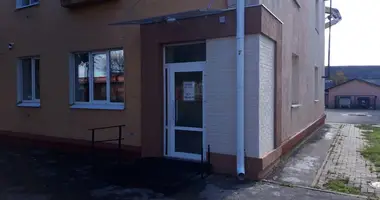 Tienda 41 m² en Orsha, Belarús