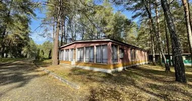 House in Radaskovicki sielski Saviet, Belarus