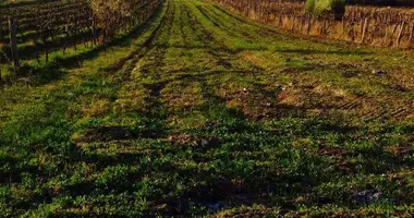 Parcela en Balatonudvari, Hungría