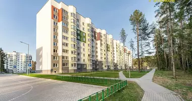 Apartamento 2 habitaciones en Borovlyany, Bielorrusia