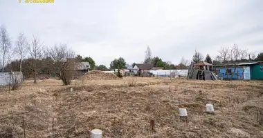 Plot of land in Piarsajski sielski Saviet, Belarus