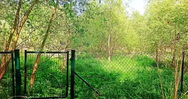 Terrain dans Pniewo, Pologne