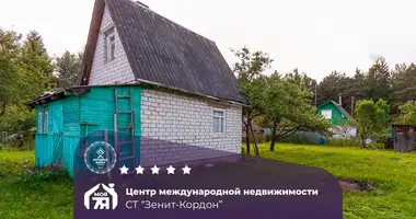 Dom w Naracanski sielski Saviet, Białoruś
