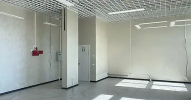 Commercial property 69 m² in Minsk, Belarus