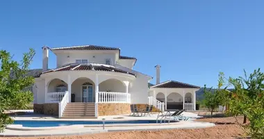 Villa 4 bedrooms with Garden, with private pool, near schools in Monover Monovar, Spain