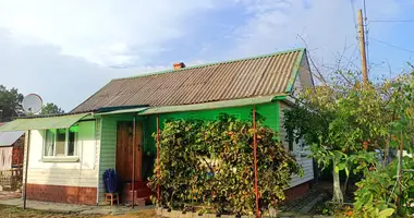 House in Ciareskavicki sielski Saviet, Belarus