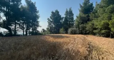 Plot of land in Fourka, Greece