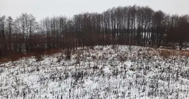 Участок земли в Алитус, Литва