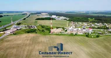 Commercial property 2 483 m² in Pliski sielski Saviet, Belarus