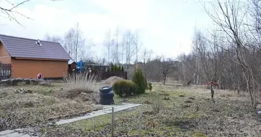 House in Krasnienski sielski Saviet, Belarus