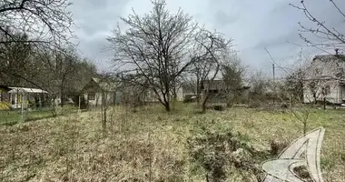 Plot of land in Matykalski sielski Saviet, Belarus