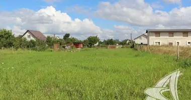 Участок земли в Чернавчицкий сельский Совет, Беларусь