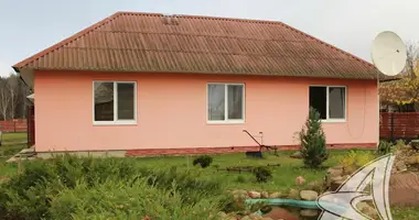 House in Vielikarycki sielski Saviet, Belarus