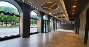 De inversiones 441 m² en Navapolack, Belarús