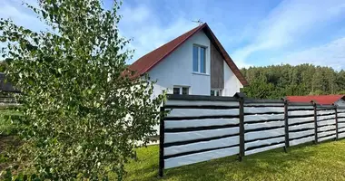 House in Valozynski sielski Saviet, Belarus