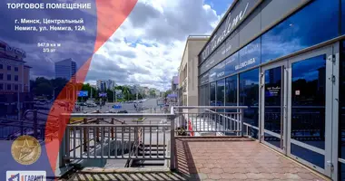 Office 548 m² in Minsk, Belarus
