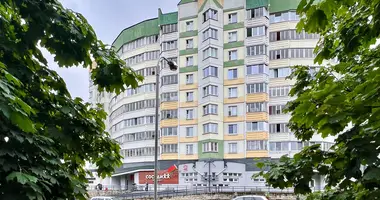 3 bedroom apartment in Minsk, Belarus