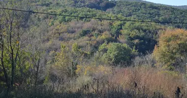 Terrain dans Pelinovo, Monténégro