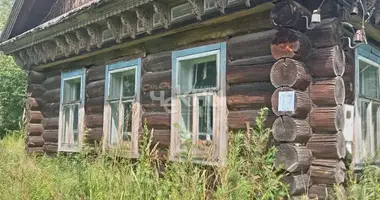 House in Gorodetsky District, Russia