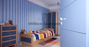 5 room house in Budapest, Hungary