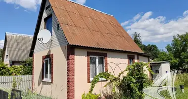 House in Telminski sielski Saviet, Belarus