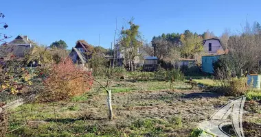 Plot of land in Muchaviecki sielski Saviet, Belarus