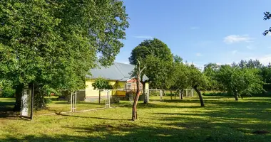 Haus in Vizgiunai, Litauen