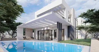 Villa 3 bedrooms with Swimming pool in Cyprus