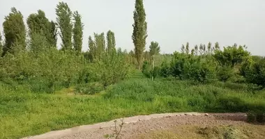 Земельные участки в Ташкент, Узбекистан