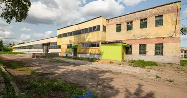 Склад 2 824 м² в Бобруйск, Беларусь