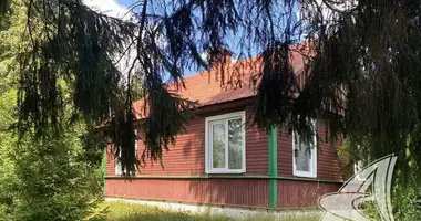 House in Kliejnikauski sielski Saviet, Belarus