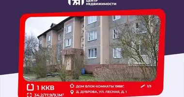 1 room apartment in Drackauski sielski Saviet, Belarus