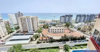 Apartment in Alicante, Spain