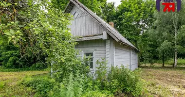 House in Chazouski sielski Saviet, Belarus