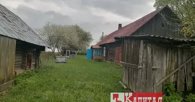 House in Dubnienski sielski Saviet, Belarus