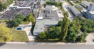 Geschäft 1 500 m² in Birnbaum, Polen