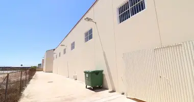 Propiedad comercial en La Vega Baja del Segura, España