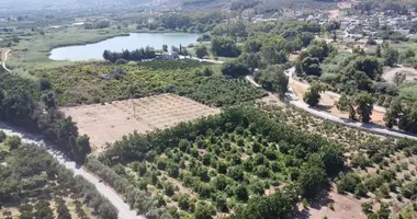 Terrain dans Agia, Grèce